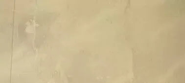 ARDEX P9 Single Part Primer (1L & 4L)