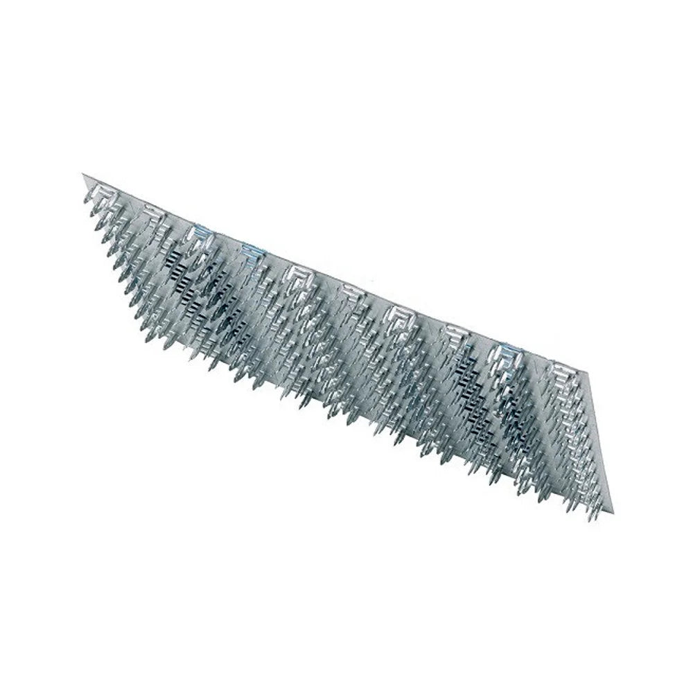 Raimondi Fakiro Plaster Rasp